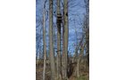Property photo 166 - REAL ESTATE & PERSONAL PROPERTY AUCTION, 140 Acres offered in 8 Tracts or Combinations in Steuben County